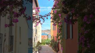Banyuls sur mer, a beautiful seaside town in South west of France バニュルスシュルメール、スペイン国境近くの美しい海辺の街