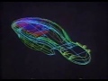 ABC Commercials February 6 1998