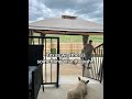 Gazebo Gets Blown Away Due to Wind During Thunderstorm - 1423309