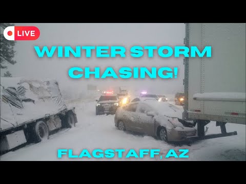 WINTER STORM COVERAGE - Flagstaff, AZ - 2+ INCHES Of SNOW Per Hour! (1/17/2023 - As it Was)