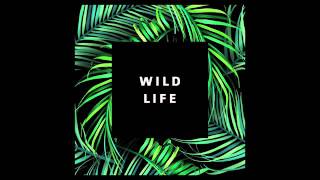 Kevin hunter - Wild life