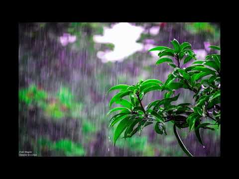 Fratii Wagner - Opreste-te o clipa