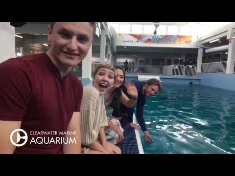 Dolphin Tale Actors Surprise Special Guests at CMA