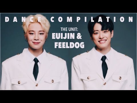 The UNIT: EUIJIN & FEELDOG | Dance Compilation