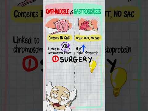 Dr. Sara May, Allergy and Immunology