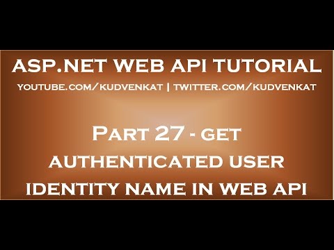 How to get authenticated user identity name in asp net web api