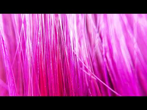 Arkane Skye & Veela - Company