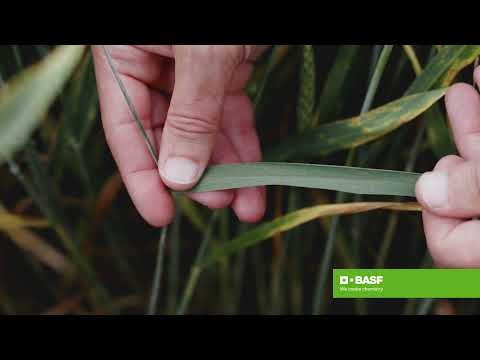 Revytrex 2021 - Thomas Wildt-Persson