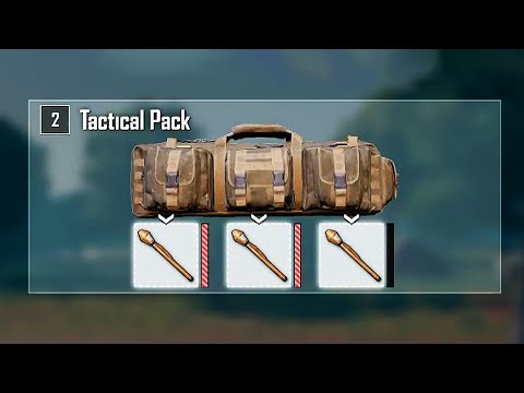The PUBG Tactical Pack Is So Underrated...