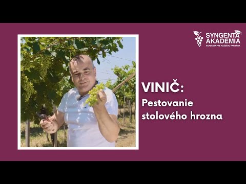 , title : 'Akadémia Syngenta vinič 12.časť | Syngenta Slovensko'