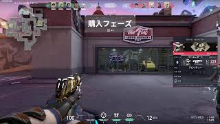 適当にゲーム、夜更かし用雑談枠