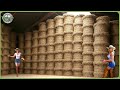 How Linen Is Made Fascinating Flax Processing Of Million Tons In Modern Factory
