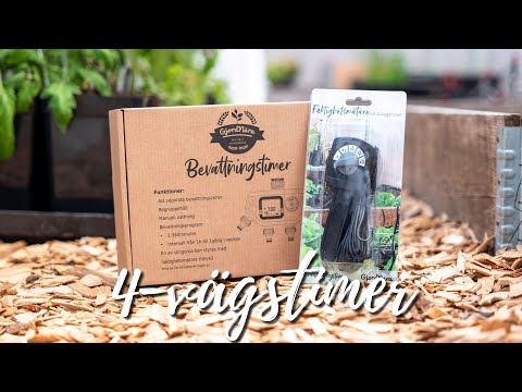 Automatisk bevattning: Så fungerar bevattningstimer med 4 utgångar