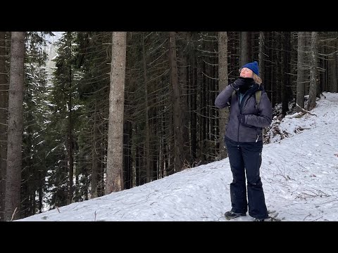 Traseu Cabana Bolboci - Cabana Varful cu Dor