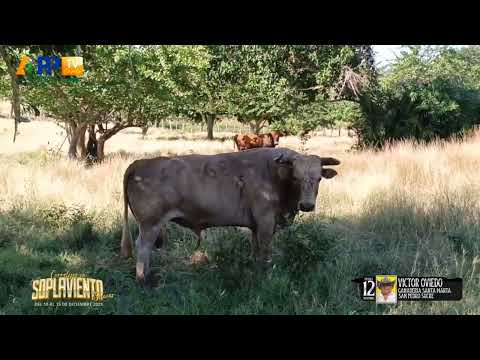 Ganadería Santa Marta | Soplaviento 2025.