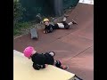 A Cute Video Of Naz And Biggy Fighting Who Goes On The Skate Ramp First Shorts