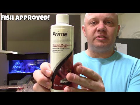 Cycle your aquarium quickly with this!