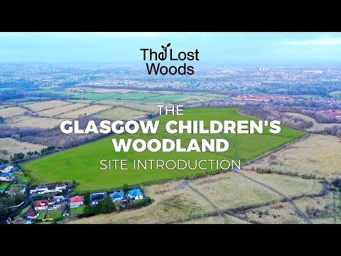 The Glasgow Children's Woodland (Site Introduction) | The Lost Woods