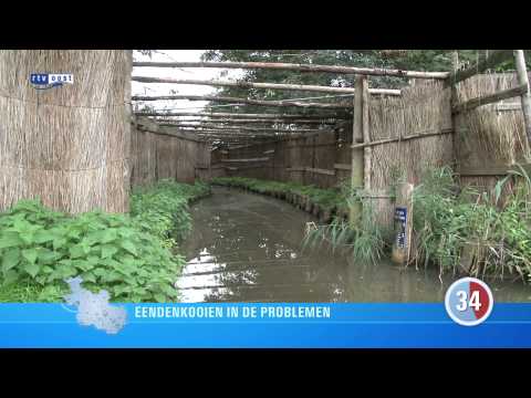 Nieuws in 1 minuut woensdag 11 oktober 2012