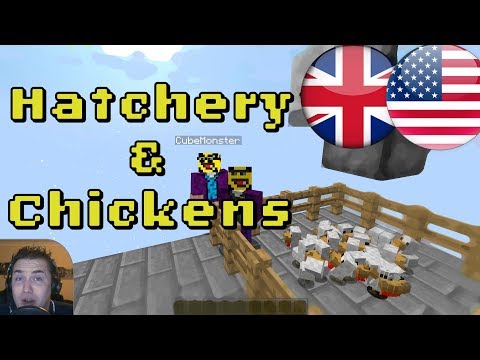 Tips and Tricks for Hatchery and Chickens mod - FTB Sky Factory 3 - modded Minecraft Tutorial