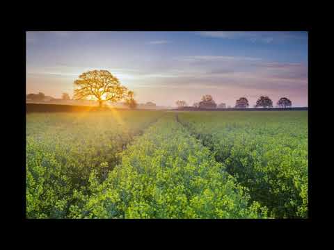 Ray Burton feat. Titus - The Melody (Pierre Deutschmann feat. Styleshaker Remix)