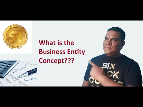 What is the Business Entity Concept