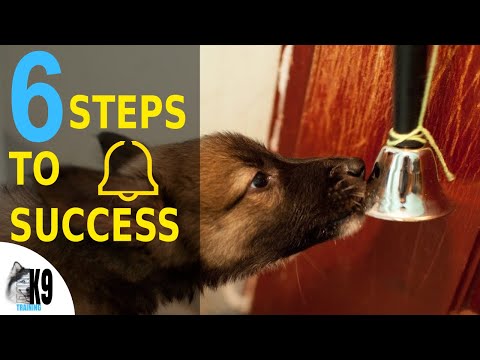 How To Teach Your Puppy To Ring A Bell To Go Outside - Puppy Potty Training