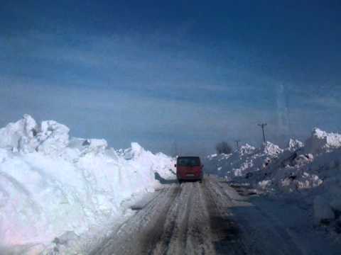 jurnal 21 02 2012 ajutoare primarie cu poze de la singureni si mihai bravu giurgiu   ema popa