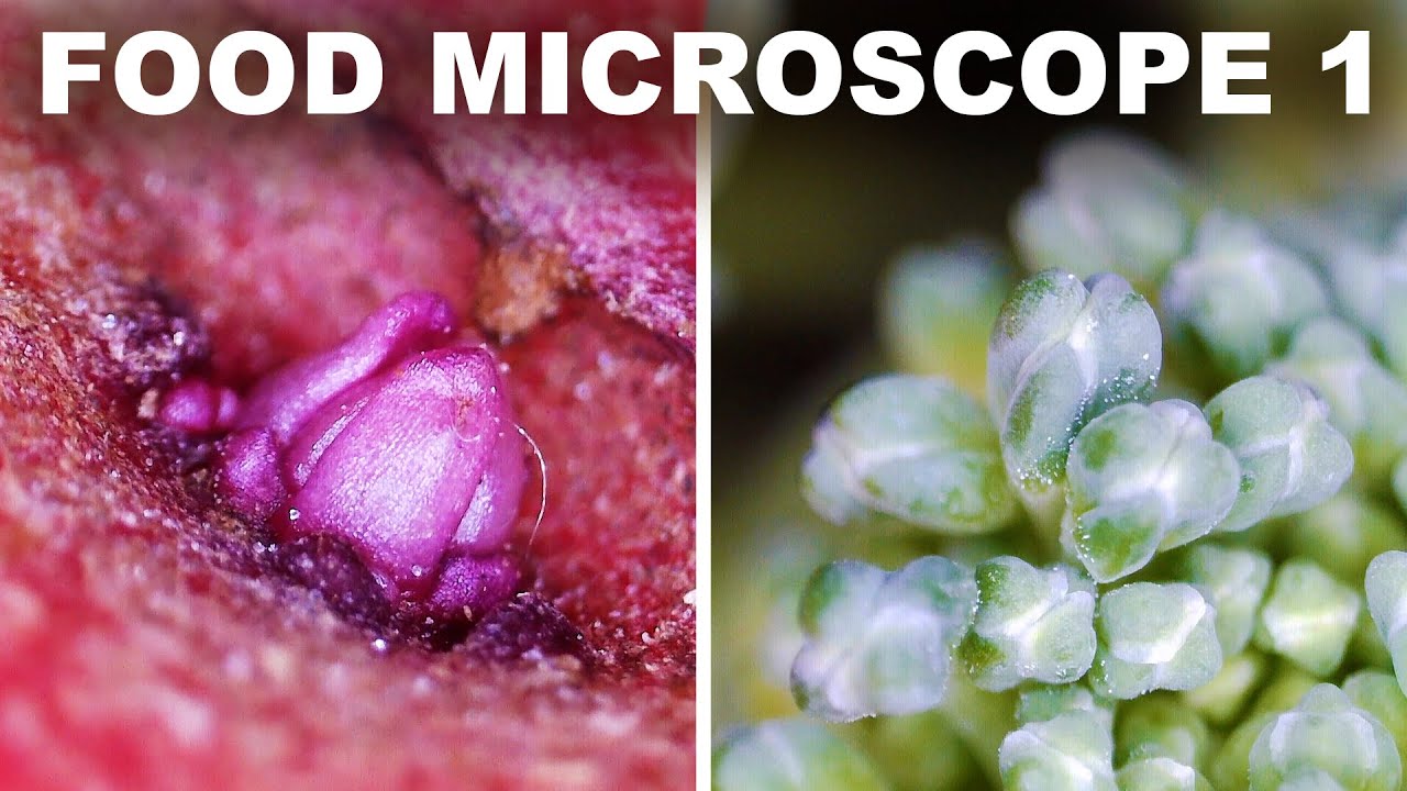 Fruits and veggies under a microscope