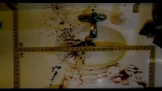 Jodi Arias Trial : Day 5, Part 1 'No Jury Will Convict Me' (No Sidebars) video