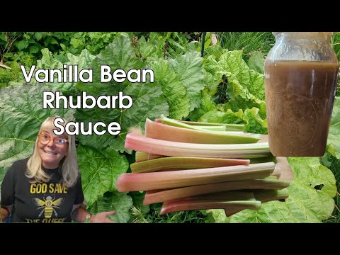 Vanilla Bean Rhubarb Sauce Recipe