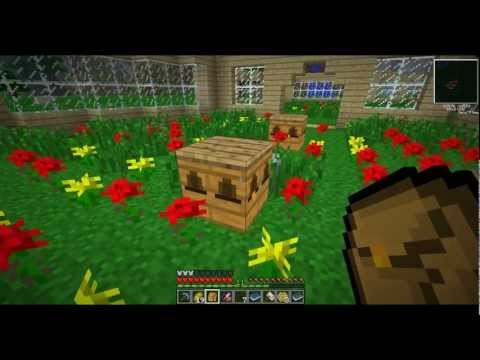 Feed The Patrick | 2 - Souls l'Apiculteur