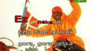 preview picture of video 'Ikusi mendizaleak (abotsbakoa)'