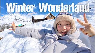 Download lagu My Winter Wonderland in China 🇨🇳 mp3