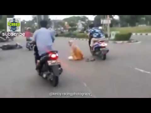aksi terlampau perempuan bawak motor
