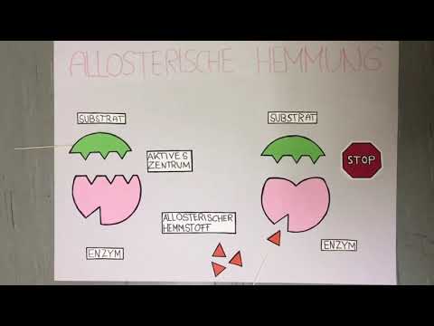 ALLOSTERISCHE HEMMUNG