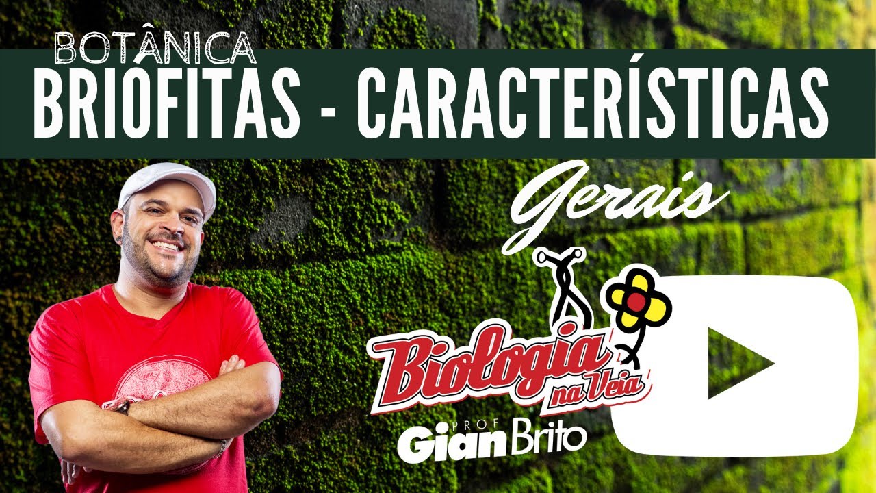 BRIÓFITAS - CARACTERÍSTICAS GERAIS