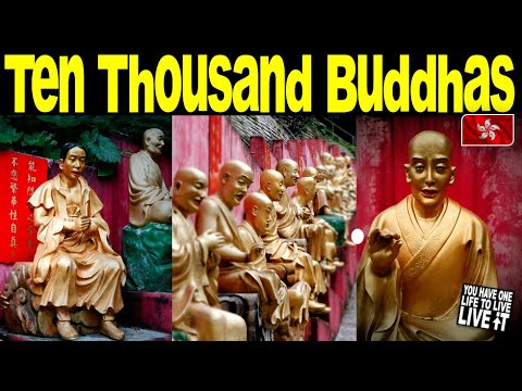 10,000 Buddhas Monastery (Tourists don't know about this!!!) - This Is How I See It