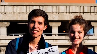 The Pirouettes - L'amour, le succès
