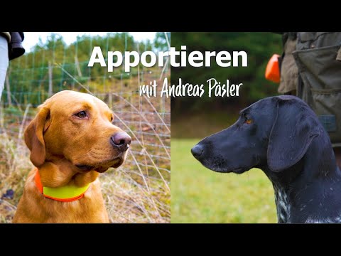 Apportieren - mit Andreas Päsler