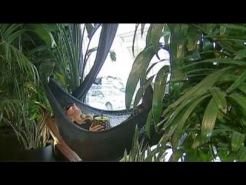 download lagu mp3 mp4 Nap Spa, download lagu Nap Spa gratis, unduh video klip Nap Spa