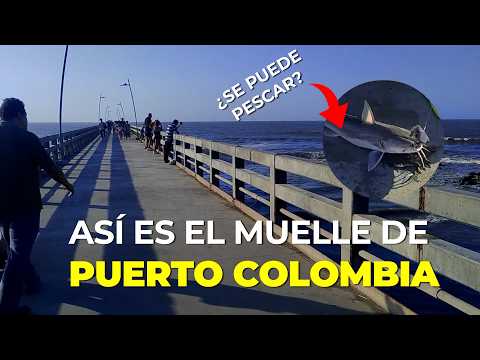 Explorando el muelle más icónico del Atlántico: ¿Vale la pena visitarlo?