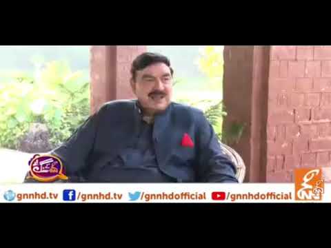 Sheikh Rasheed on cats