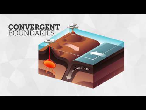 Ocean Floor Features