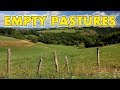 Empty Pastures (Banished Gameplay | Part 5) - YouTube