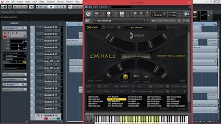 EXHALE from Output, The Amazing Vocal Instrument for NI Kontakt