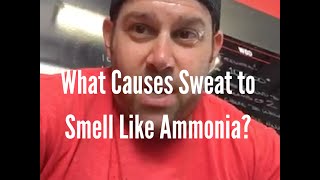 What Causes Sweat to Smell Like Ammonia
