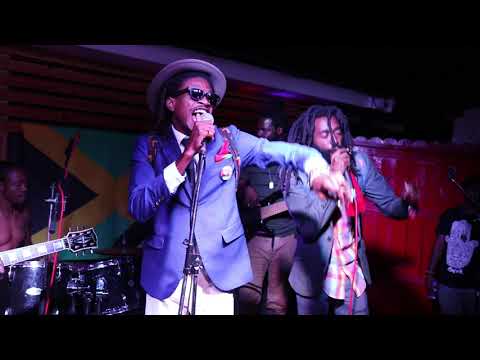 The No-Maddz - The Trod (Live in Kingston)