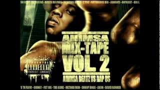 02   Busta Rhymes Feat Chingy, Fat Joe   Put it On the floor