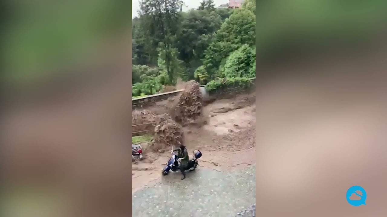 youtube video id=Z1c9oOHp2WU